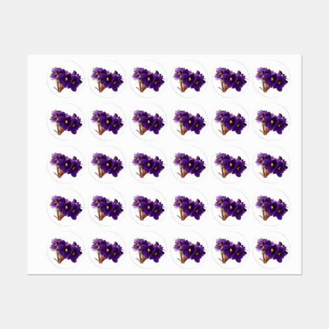 Afrikanische Violet Etiketten (Blatt)