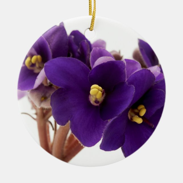 Afrikanische Violet Keramik Ornament (Vorne)
