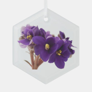 Afrikanische Violet Ornament Aus Glas