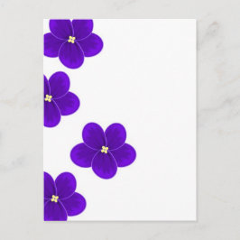 Afrikanische Violet Postkarte