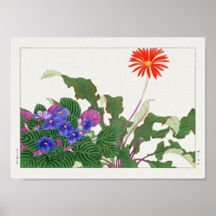 Afrikanische Violette Gerbera von Tanigami Konan Poster