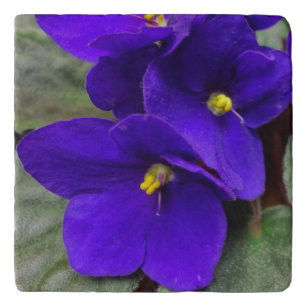 Afrikanische Violettrivet Töpfeuntersetzer