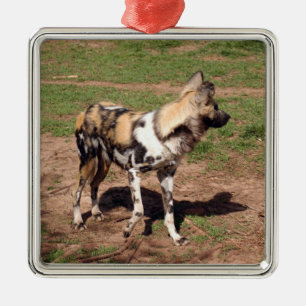 Afrikanische wilder Hundeweihnachtsverzierung Silbernes Ornament
