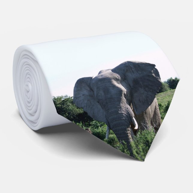 Afrikanische Wildfotografie Elephant Big Oars Krawatte (Gerollt)