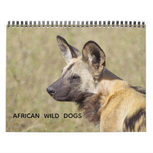 AFRIKANISCHE WILDHUNDE KALENDER