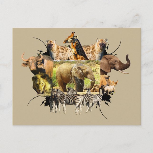 afrikanische Wildlife Frame Elephant Splash Postkarte (Vorderseite)