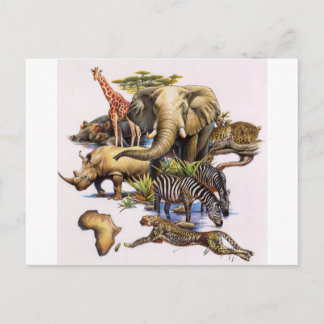 Afrikanische Wildtiere im Konzert Postkarte