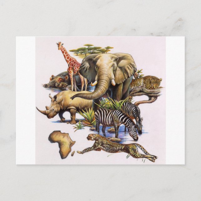 Afrikanische Wildtiere im Konzert Postkarte (Vorderseite)