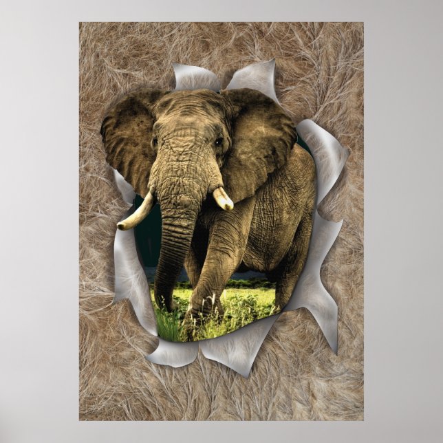 Afrikanische Wildtiere Poster (Vorne)