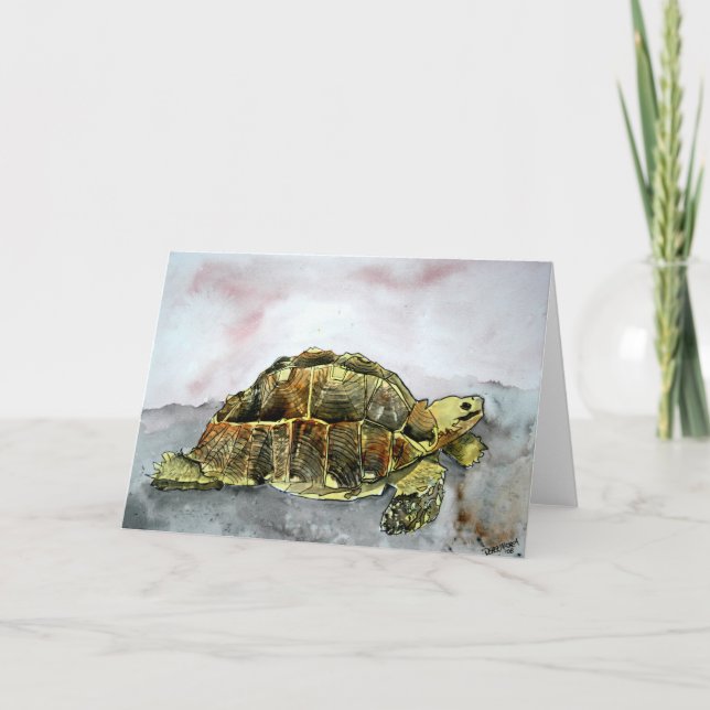 Afrikanische Wüstenschildkröte - Grusskarte Karte (Vorderseite)
