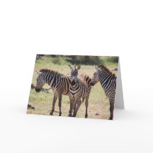 Afrikanische Zebra-Karte