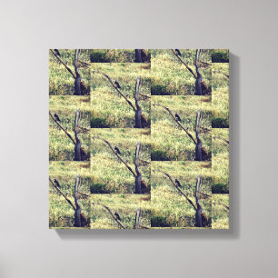 Afrikanischer Adler Leinwanddruck