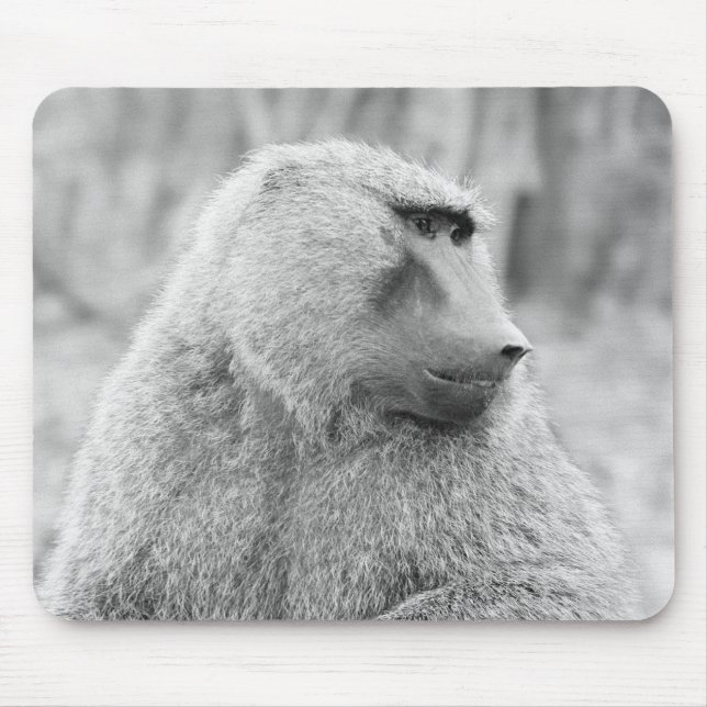 Afrikanischer Baboon Mousepad (Vorne)