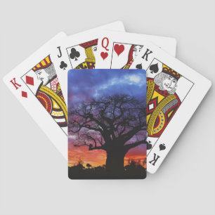 Afrikanischer Baobab-Baum, Adansonia digitata, 2 Spielkarten