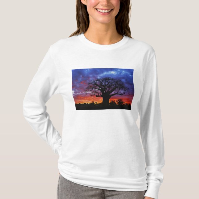 Afrikanischer Baobab-Baum, Adansonia digitata, 2 T-Shirt (Vorderseite)