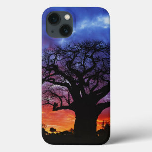 Afrikanischer Baobabbaum, Adansonia digitata, 2 Case-Mate iPhone Hülle