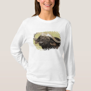 Afrikanischer Büffel, Syncerus caffer T-Shirt