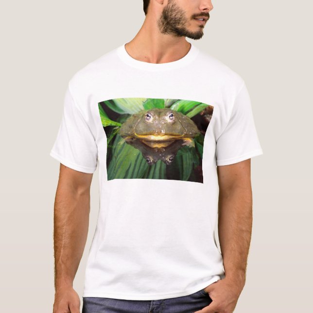 Afrikanischer Burrowing Bullfrog, Pyxicephalus 2 T-Shirt (Vorderseite)