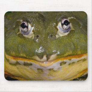 Afrikanischer Burrowing Bullfrog, Pyxicephalus Mousepad