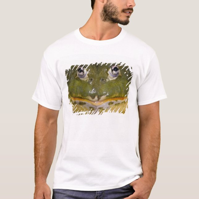 Afrikanischer Burrowing Bullfrog, Pyxicephalus T-Shirt (Vorderseite)