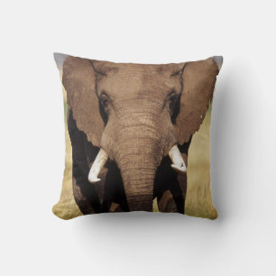 Afrikanischer Busch-Elefant Kissen