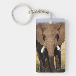 Afrikanischer Buschelefant Schlüsselanhänger