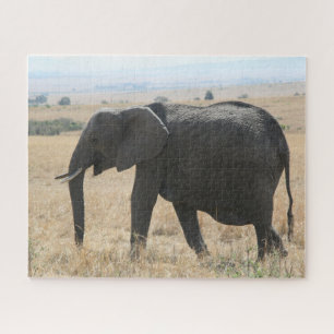 afrikanischer Elefant