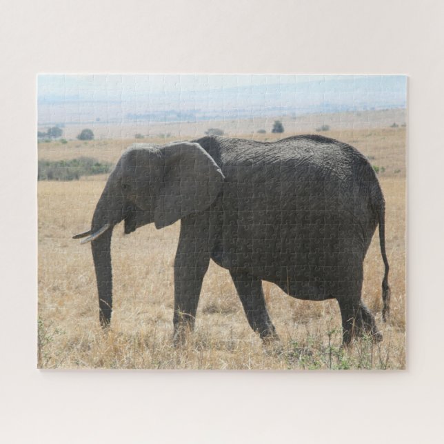 afrikanischer Elefant (Horizontal)