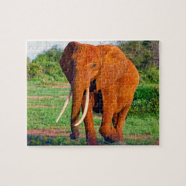 Afrikanischer Elefant (Horizontal)