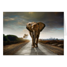 Afrikanischer Elefant