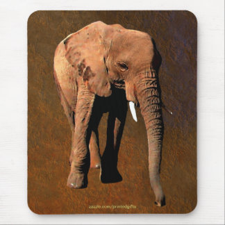 Afrikanischer Elefant Big Five Wildlife Animal Mou Mousepad