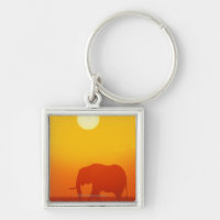 Afrikanischer Elefant, der am Sonnenuntergang