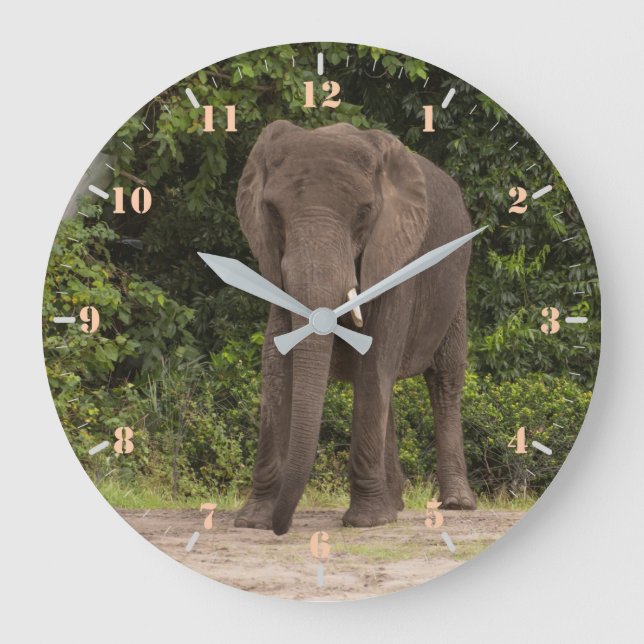 Afrikanischer Elefant Große Wanduhr (Vorderseite)