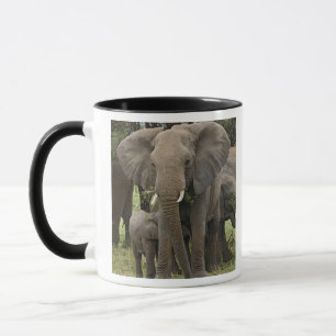 Afrikanischer Elefant Herde Tasse