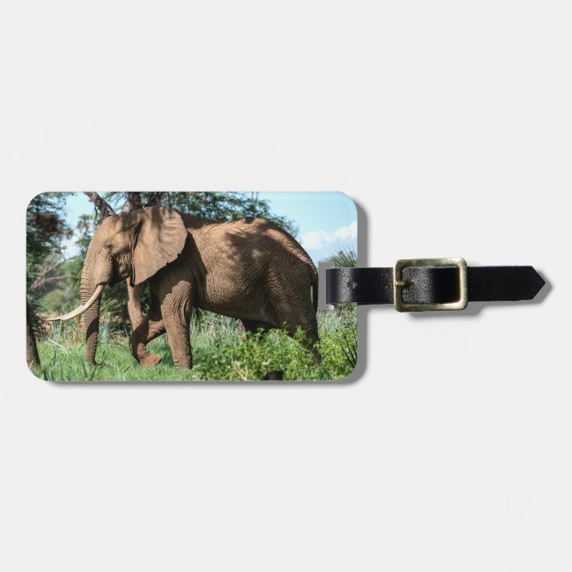 Afrikanischer Elefant in der Safari Gepäckanhänger (Vorderseite horizontal)
