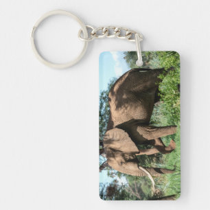 Afrikanischer Elefant in der Safari Schlüsselanhänger