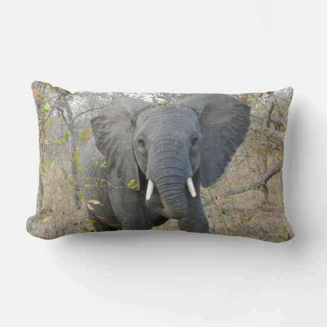 Afrikanischer Elefant-Kissen Lendenkissen (Vorderseite)