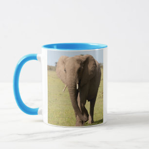 Afrikanischer Elefant (Loxodonta Africana), Maasai Tasse