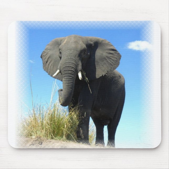 Afrikanischer Elefant-Mausunterlage Mousepad (Vorne)