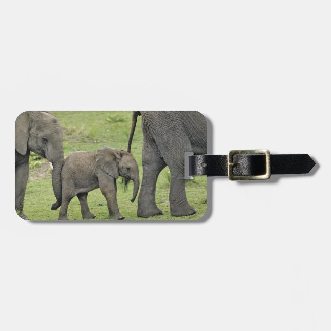 Afrikanischer Elefant mit Baby Gepäckanhänger (Vorderseite horizontal)