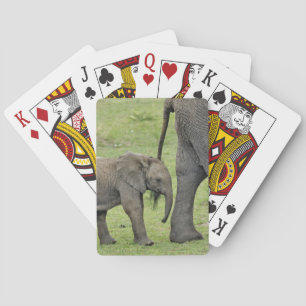 Afrikanischer Elefant mit Baby Spielkarten