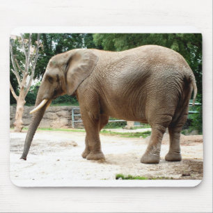 Afrikanischer Elefant Mousepad