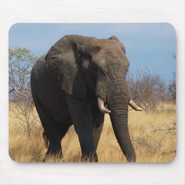 Afrikanischer Elefant Mousepad (Vorne)