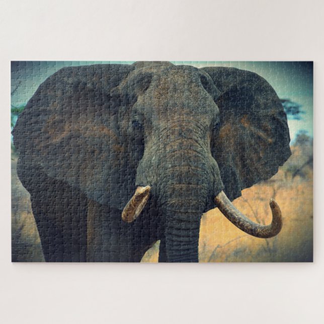 Afrikanischer Elefant Nah (Horizontal)