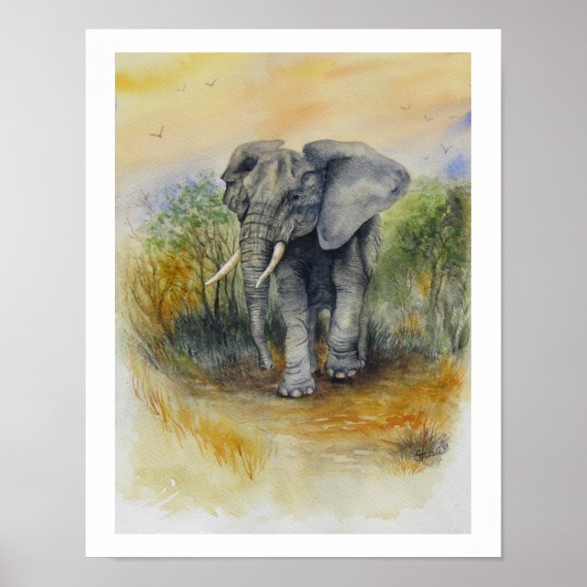 Afrikanischer Elefant Poster (Vorne)