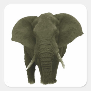 Afrikanischer Elefant Quadratischer Aufkleber