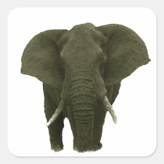 Afrikanischer Elefant Quadratischer Aufkleber (Vorderseite)