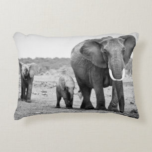 Afrikanischer Elefant u. Kälber Kenia, Afrika Dekokissen
