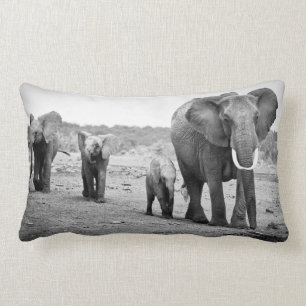 Afrikanischer Elefant u. Kälber   Kenia, Afrika Lendenkissen
