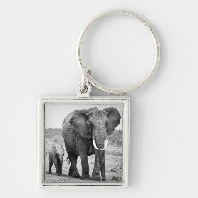 Afrikanischer Elefant u. Kälber | Kenia, Afrika Schlüsselanhänger (Vorne)